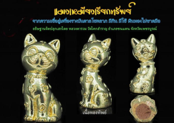แมวเหมียวเรียกทรัพย์ เนื้อทองทิพย์ หลวงตารวม วัดโคกสำราญ 2564 ใส่หลอดตะกรุด 3
