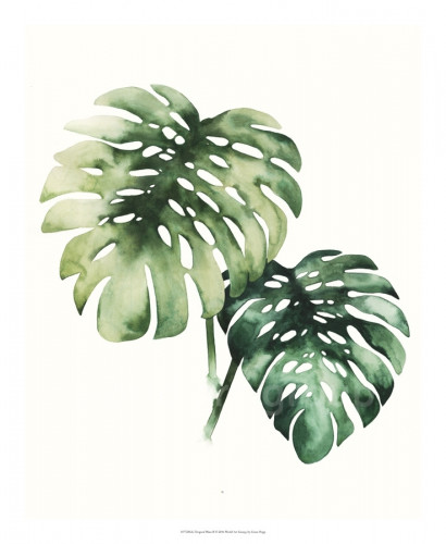 Tree 1