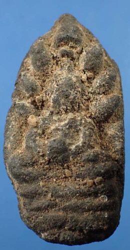 พระนาคปรก หลวงพ่อหวาด วัดเพชรพลี จังหวัดเพชรบุรี พ.ศ.๒๔๘๐ เนื้อแร่ ที่สุดแห่งความหายาก*105