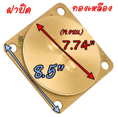 ฝาปิดส้วมทองเหลือง 8