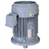 มอเตอร์หน้าแปลน 7.5 HP 2P รุ่น SF-JRV MITSUBISHI