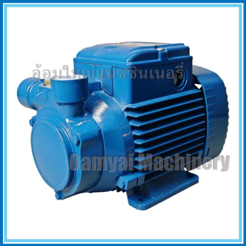 ปั๊มน้ำหอยโข่ง ท่อ 3/4นิ้ว * 3/4นิ้ว 1 Hp รุ่น PQm90 PEDROLLO (Made in Italy)
