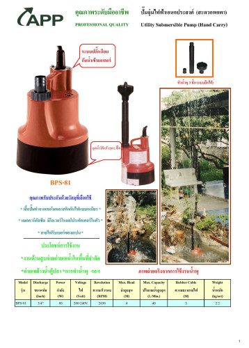 ปั๊มแช่ ปั๊มไดโว่ ปั๊มน้ำ ปั๊มจุ่ม รุ่น BPS-81 APP(ARWANA) 1