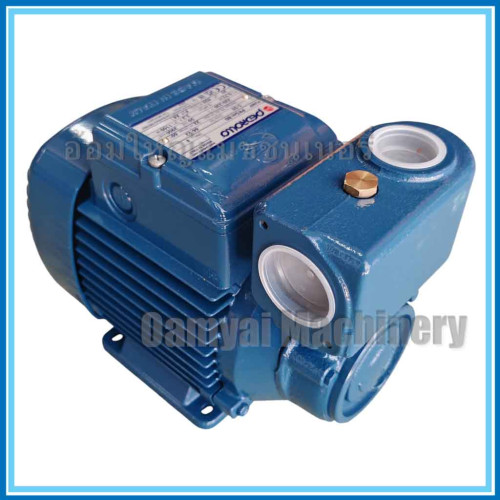 ปั๊มน้ำหอยโข่ง ท่อ1 นิ้ว * 1 นิ้ว 1 Hp รุ่น PKSm80 PEDROLLO (Made in Italy)