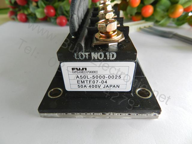 A50L-5000-0025 (EMTF07-04)