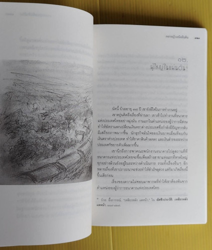 ดอกหญ้าเหนือผืนดิน  โดย ชมัยภร แสงกระจ่าง 4