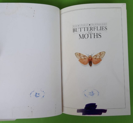 BUTTERFLIES AND MOTHS BY David Carter