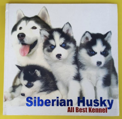 Siberian Husky All Best Kennel