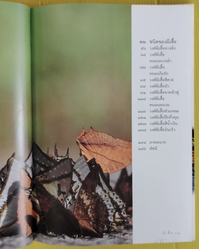 ผีเสื้่อ  เรื่องและภาพโดย เกรียงไกร สุวรรณภักดิ์ 2