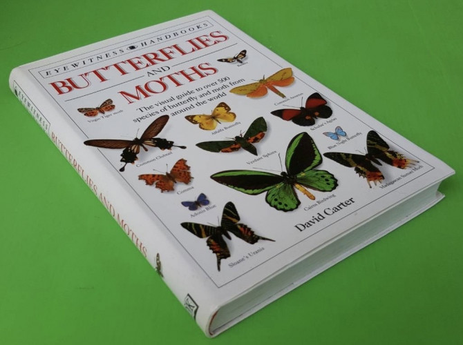 BUTTERFLIES AND MOTHS BY David Carter