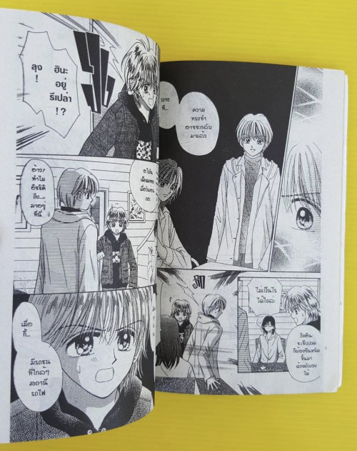 PENGUIN BROTHERS 5 เล่มจบ  ของ AYUMI SHIINA 3