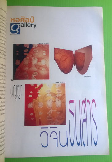สีสัน ปีที่ 10 ฉบับที่ 2 2