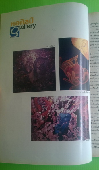 สีสัน ปีที่ 10 ฉบับที่ 2 3