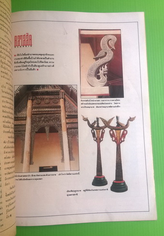 สีสัน ปีที่ 6 ฉบับที่ 8 4
