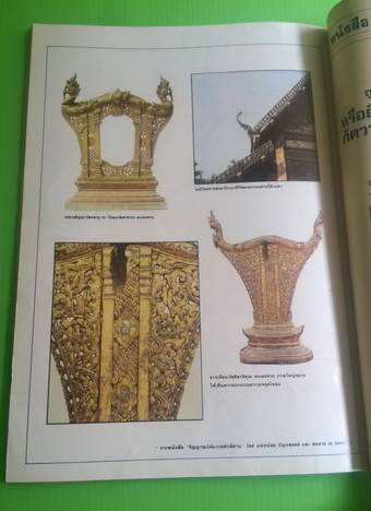 สีสัน ปีที่ 6 ฉบับที่ 8 5