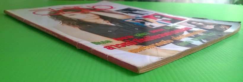 สีสัน ปีที่ 6 ฉบับที่ 8 6