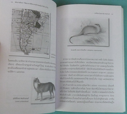 My Image 28