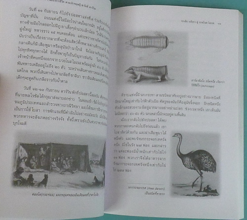 My Image 19