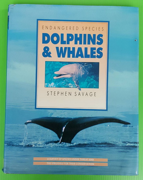 DOLPHINS AND WHALES