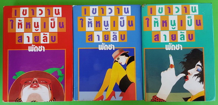 เขาวานให้หนูเป็นสายลับ 3 เล่มจบ