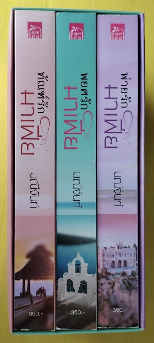 นวนิยายชุด พ่ายรักมาเฟีย 3 เล่ม ของ มณีจันท์ 1