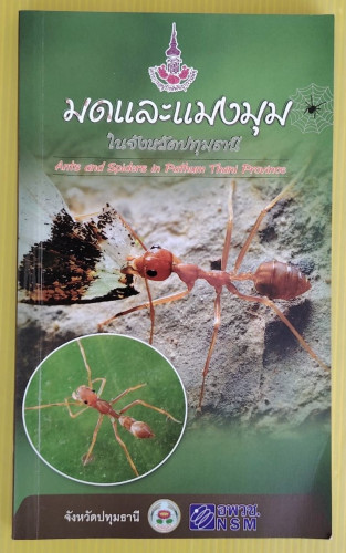 มดและแมงมุมในจังหวัดปทุมธานี