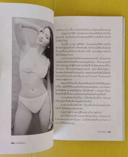 โลมเนื้อนาง 1  โดย นิวัติ กองเพียร 3