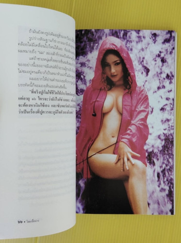 โลมเนื้อนาง 1  โดย นิวัติ กองเพียร 6