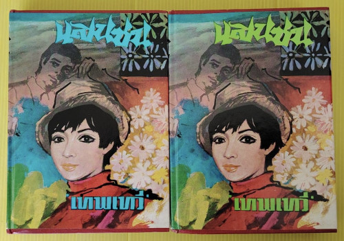 แสนซน 2 เล่มจบ  ของ เทพเทวี