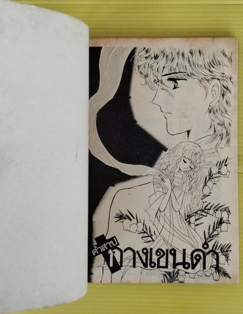 คำสาปกางเขนดำ เล่ม 1,2 (ไม่จบ)  by MOJIMOTO YOKO 4
