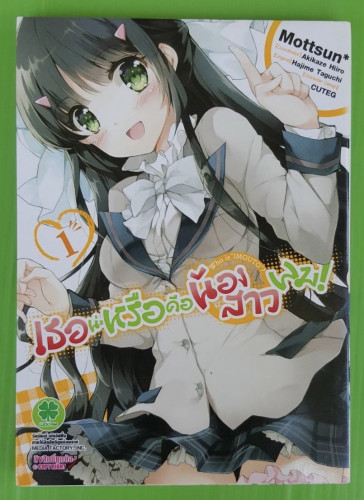 เธอน่ะหรือคือน้องสาวผม เล่ม 1