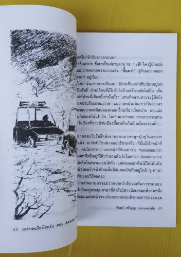 แม่วาดเมียบียอร์น ตอน Amazing Thailand  โดย จันทร์ ศรีจรูญ แอนเดอร์สัน 2