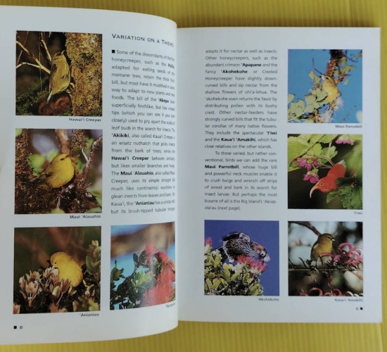 A Pocket Guide to HAWAI 'I'S BIRDS 5