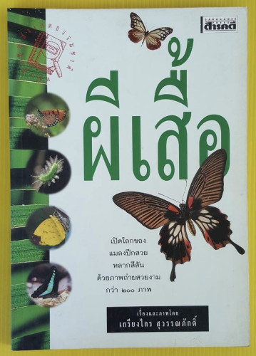 ผีเสื้อ  เรื่องและภาพโดย เกรียงไกร สุวรรณภักดิ์