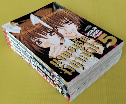 ทำนองรักจังหวะหัวใจ 5 เล่มจบ ของ SHINJO Mayu 5