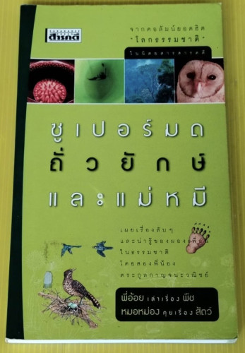 ซูเปอร์มด ถั่วยักษ์ และแม่หมี  พี่อ้อย เล่าเรื่องพืช  หมอหม่อง คุยเรื่องสัตว์