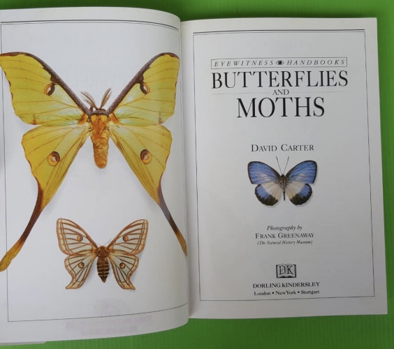 BUTTERFLIES AND MOTHS BY David Carter