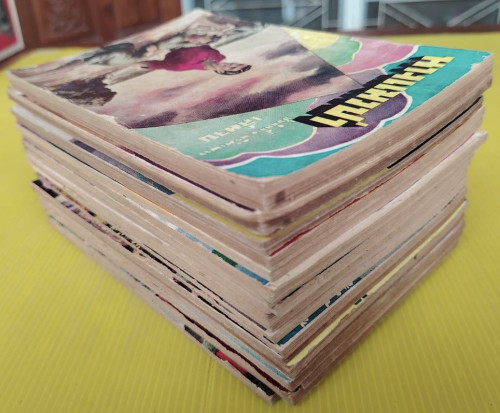 นางแมวป่า 20 เล่มจบ  โดย ช่อลิลลี่ - พริ้มเพรา (ปกภาพวาด เหม เวชกร ประมาณ 9 เล่ม) 8