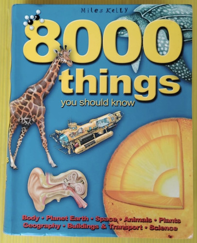 8000 things you should know by Miles Kelly
