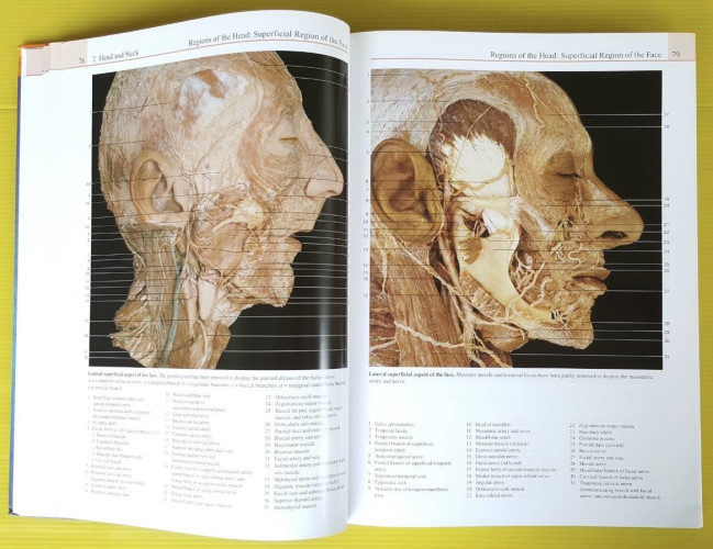 Color Atlas of Anatomy by Rohen - Yokochi - Lutjen-Drecoll