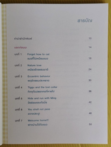 เม้าแมว  ปราง เวชชาชีวะ เรื่องและภาพ 3