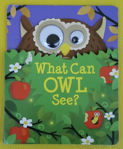 What Can OWL See?   