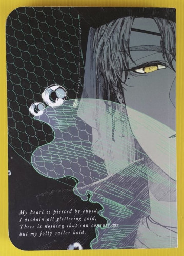 Pirate's missing eys  by sailorpluto 3