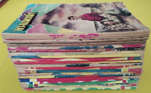 นางแมวป่า 20 เล่มจบ  โดย ช่อลิลลี่ - พริ้มเพรา (ปกภาพวาด เหม เวชกร ประมาณ 9 เล่ม)