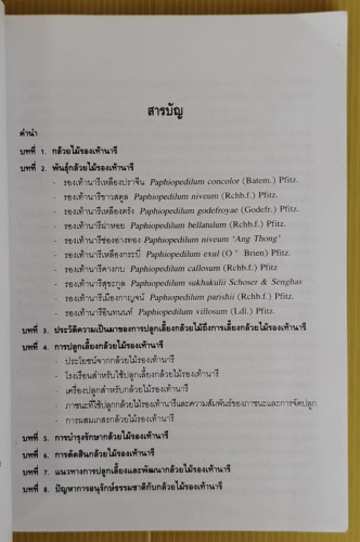 กล้วยไม้รองเท้านารี โดย ระพี สาคริก 1