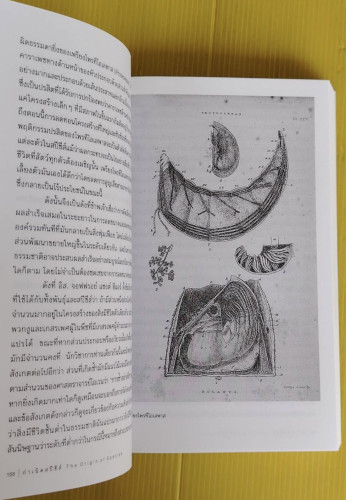 กำเนิดสปีชีส์ โดย ชาร์ลส์ ดาร์วิน  ดร.นำชัย ชีววิวรรธน์ และคณะ แปล 4