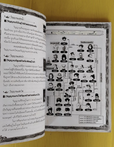 คู่มือเฉลยเกม HARVEST MOON PURE INNOCENT LIFE 4