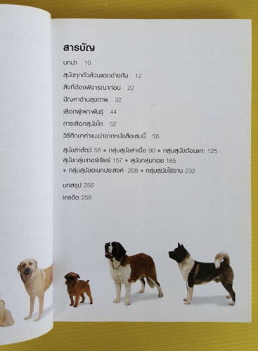 เลือกหมาให้เหมาะกับคุณ เขียนโดย GWEN BAILEY แปลโดย อาสยา ฐกัดกุล 1