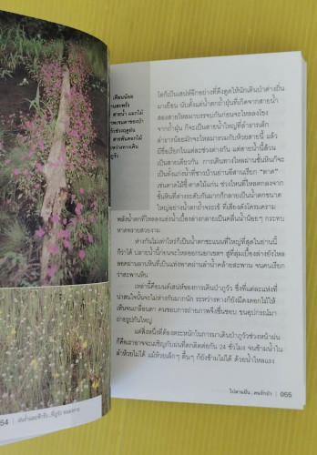 ไปตามฝัน...คนรักป่า  โดย คมฉาน ตะวันฉาย 4