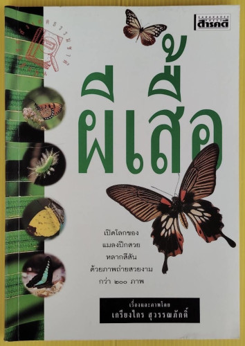 ผีเสื้่อ  เรื่องและภาพโดย เกรียงไกร สุวรรณภักดิ์